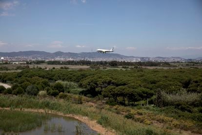 Un avión sobrevuela el delta del río Llobregat, al lado del aeropuerto de El Prat de Barcelona.