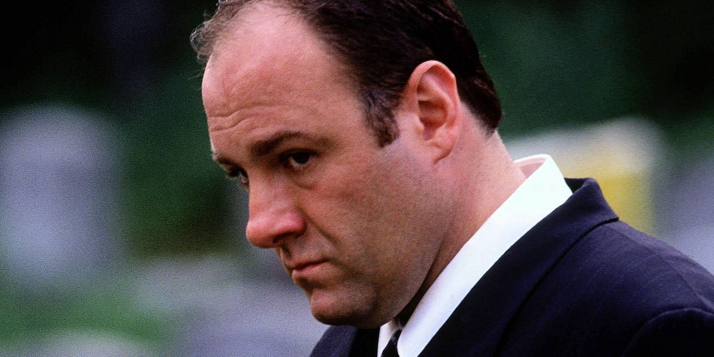 El director de Los Soprano cree que Tony murió en el final de la serie