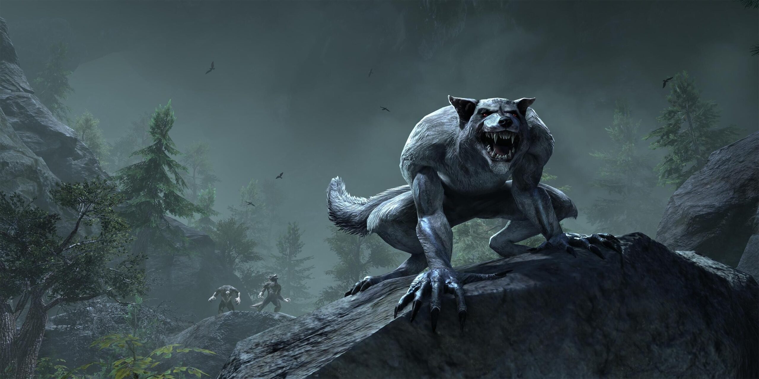 Elder Scrolls Online: Cómo convertirse en hombre lobo o vampiro - La Neta  Neta