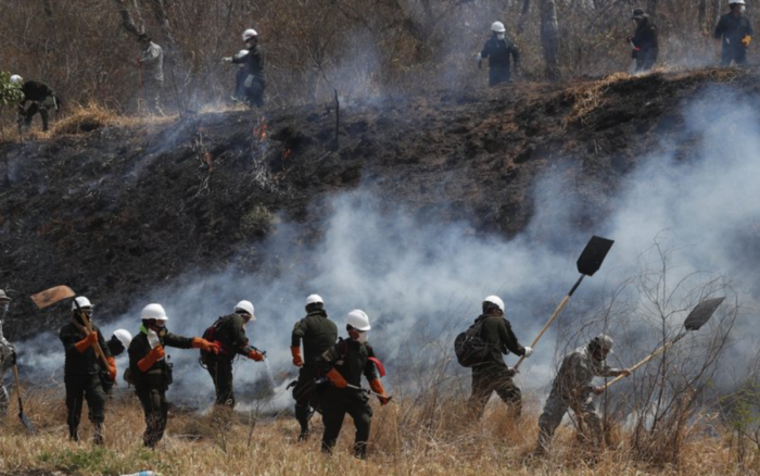 Incendios arrasan más de 150 mil hectáreas de bosque en Bolivia