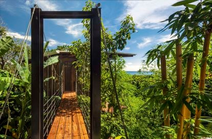 La vivienda, diseñada por el estudio Olson Kundig en Santa Teresa (Costa Rica), está completamente construida con madera local de cenízaro y, sin apenas cimentación, quiere comportarse como un árbol más.