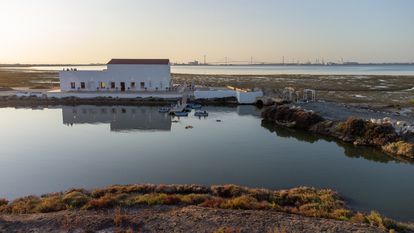 Marambay es un nuevo proyecto empresarial que ha permitido recuperar una de las muchas salinas abandonadas en la bahía de Cádiz.