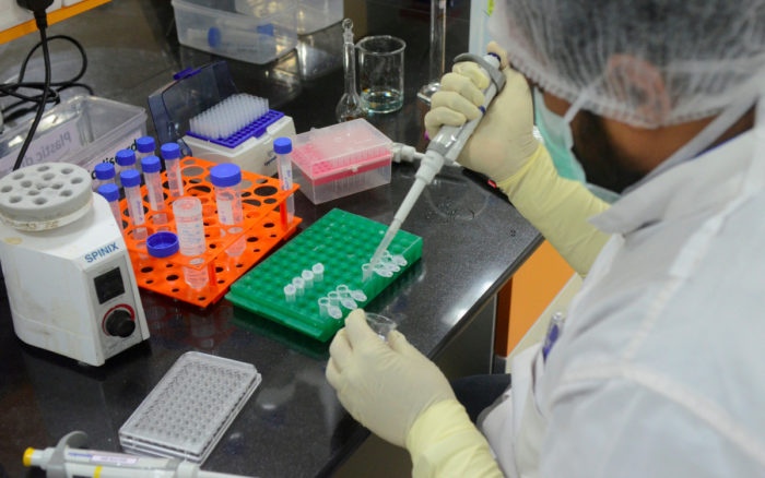 India reanudará exportaciones de vacunas contra Covid-19 a Covax