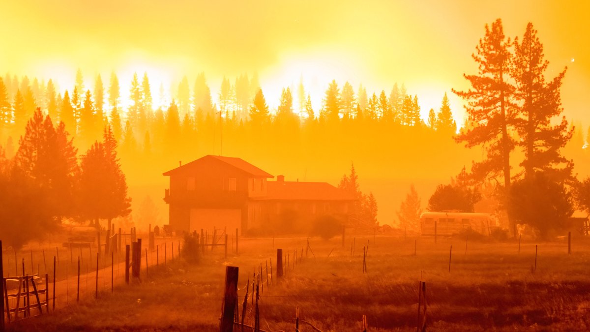 Moratoria de seguros en California: dueños de viviendas cerca de incendios no perderán sus pólizas