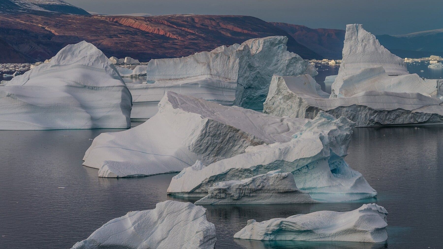 Descubierta la isla más septentrional del mundo frente a la costa de Groenlandia