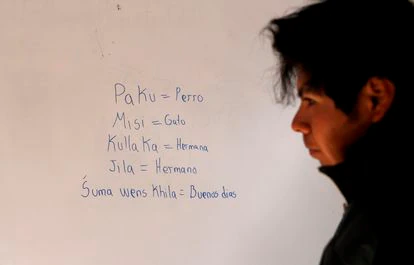 Un joven frente a un tablero con palabras en la lengua Aymara, en Punuca, Bolivia.