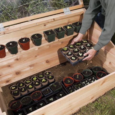PMX020110_081 marco frío