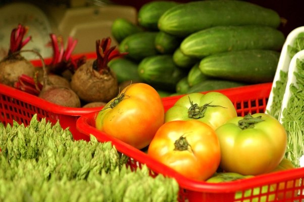 Oviva obtiene $ 80 millones para programas de alimentación saludable entregados por aplicaciones