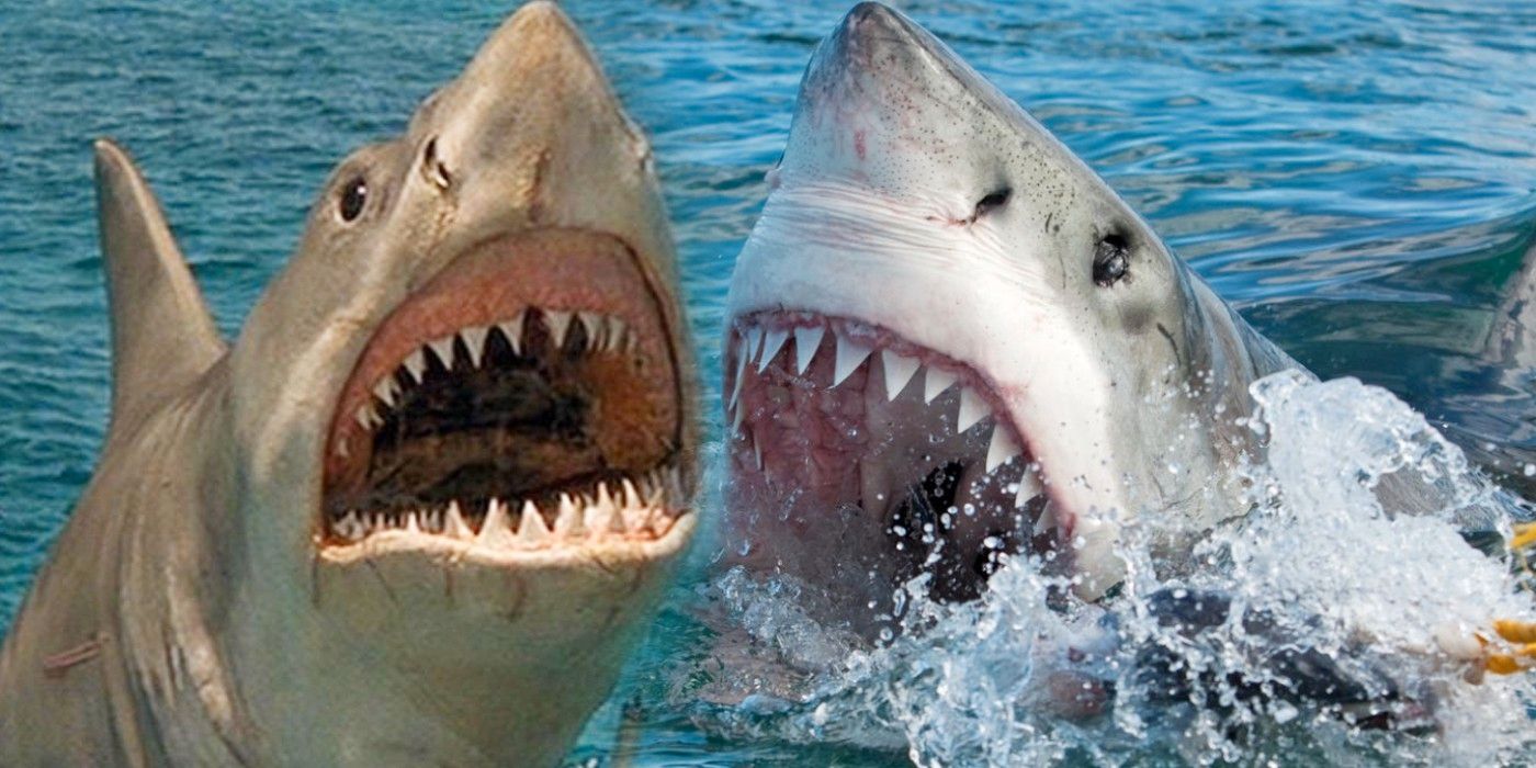 Tiburón: el final de múltiples tiburones de Spielberg habría arruinado la película