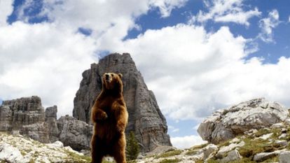 Un fotograma de la película 'El oso', de Jean Jacques Annaud.