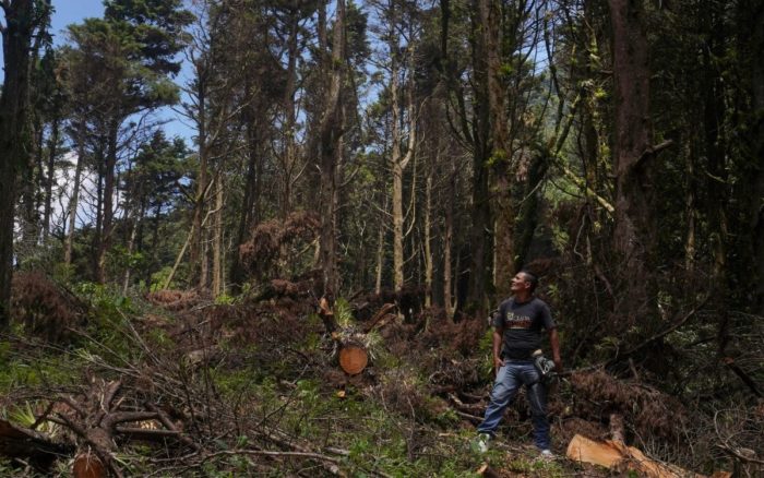 El Salvador criminaliza y judicializa a defensores ambientales