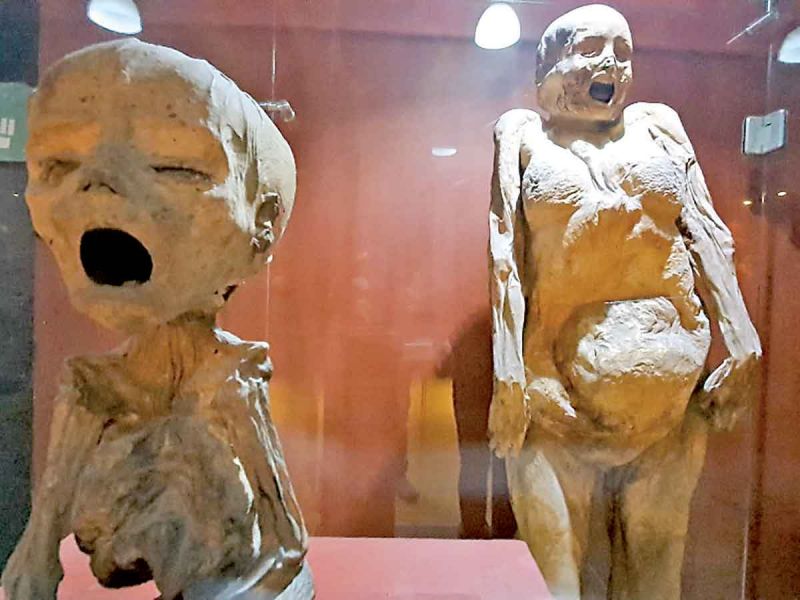 Almas en pena rondan en el antiguo Museo de Las Momias