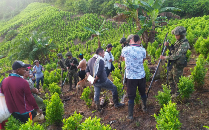 Campesinos de Colombia detuvieron a 180 militares dedicados a erradicar cultivos de coca