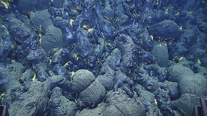 En las dorsales oceánicas y las erupciones en islas que llegan al mar es la habitual la formación de lavas almohadilladas como las de la imagen.
