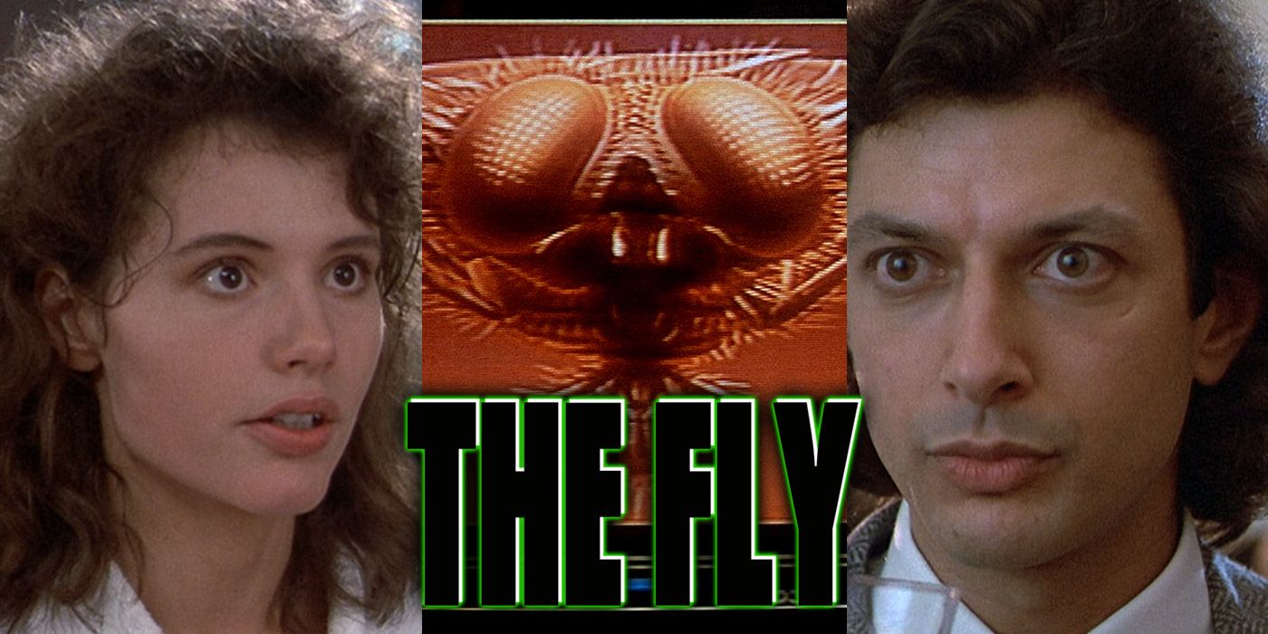 Las 10 mejores citas de The Fly (1986)