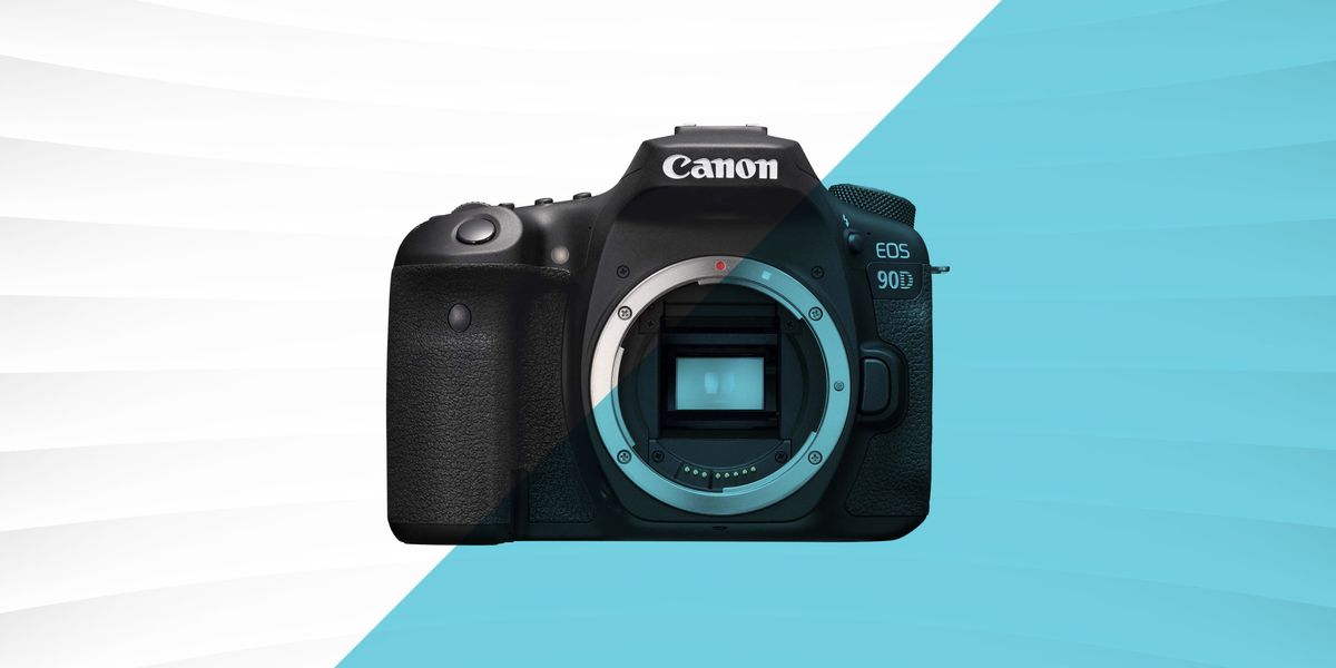 Las mejores cámaras Canon para todos los fotógrafos