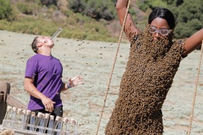 Dorothy, una de las concursantes del programa estadounidense 'Fear factor', enfrentada a una de sus pruebas extremas con cientos de abejas.