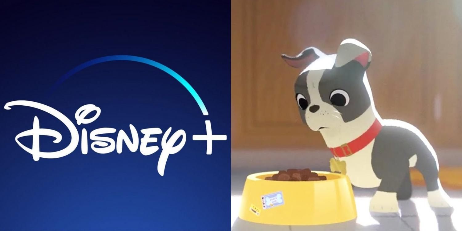 10 mejores nuevos cortos de Disney en Disney + |