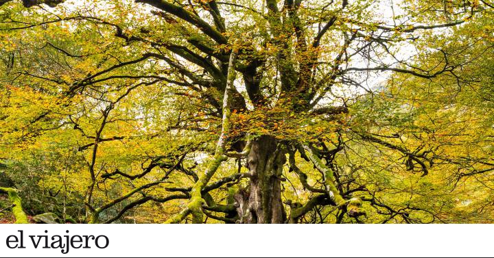 Asturias, otoño de azul y verde