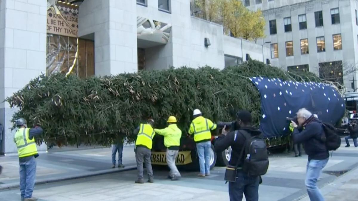 Nueva York inaugura la temporada navideña; recibe al árbol del Rockefeller Center