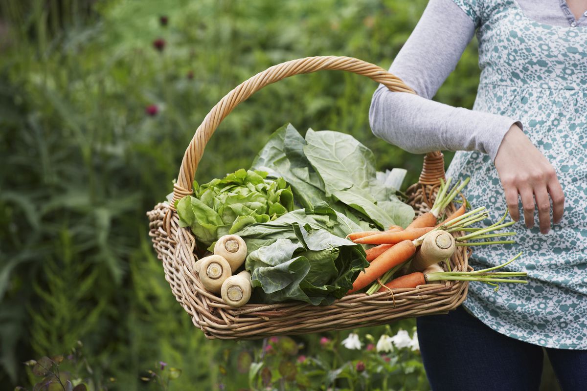 Por qué los alimentos ecológicos triunfan en la cesta de la compra
