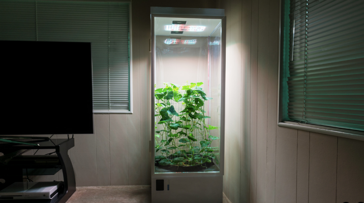 7Sensors Grow Box cuidará automáticamente sus plantas, desde el producto hasta la maceta