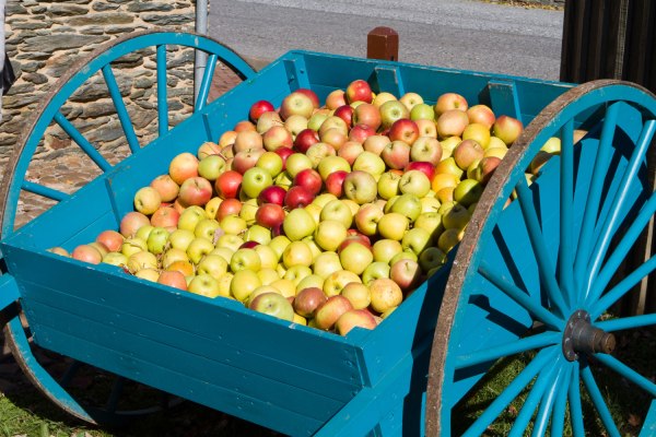 Abundant Robotics recauda $ 10 millones para robots recolectores de manzanas