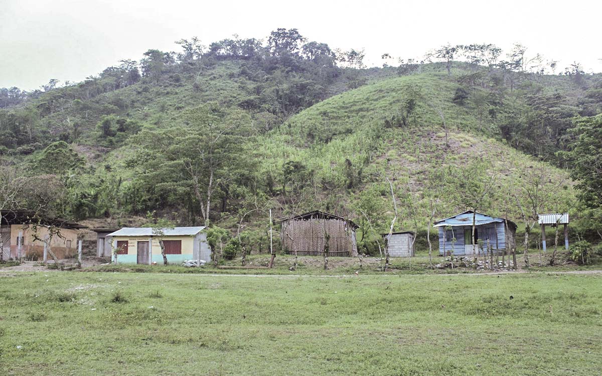 Chiapas: CNI denuncia ataque armado de tsotsiles a zoques por disputa de tierras en el ejido Esquipulas Guayabal
