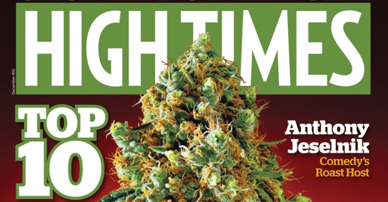 El gigante de los medios de comunicación de la marihuana High Times vende una participación mayoritaria por ~ 42 millones de dólares
