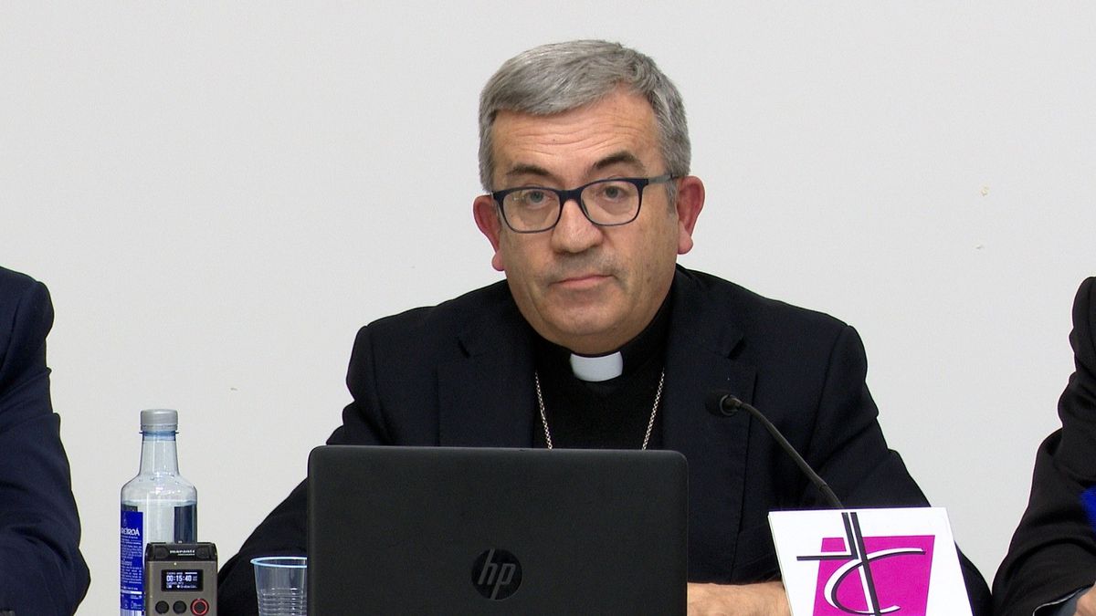 El portavoz de los obispos, sobre la pederastia clerical: “Solo son pequeños casos”