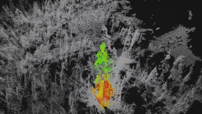 El proyecto de Berkeley prueba el seguimiento de bosques en peligro con imágenes de drones multiespectrales en 3D