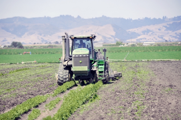 En California asolada por la sequía, una nueva tecnología de fertilizantes de KDC Ag podría brindar alivio