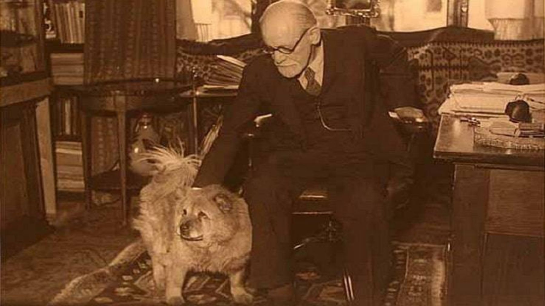 La curiosa historia de Jofi, el perro asistente de Freud