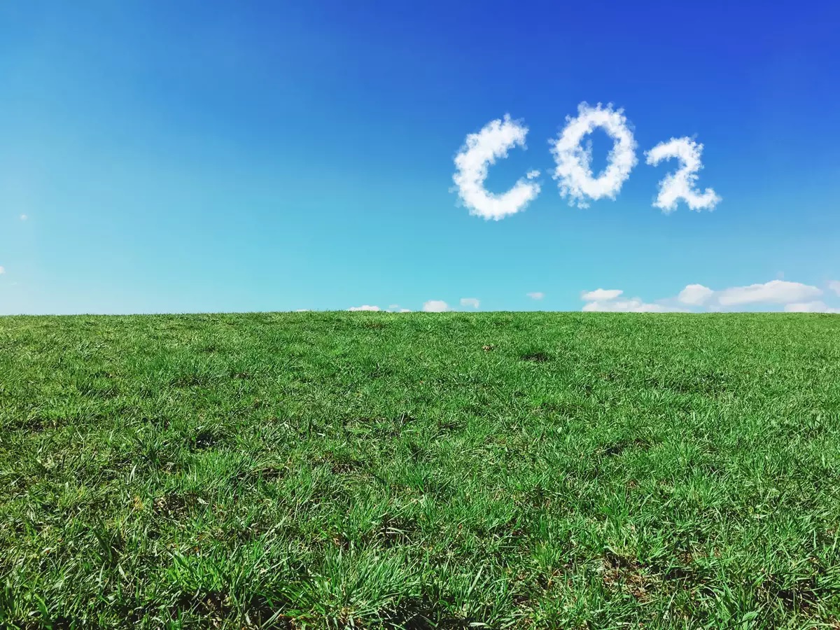 La diferencia entre “cero neto” y cero emisiones