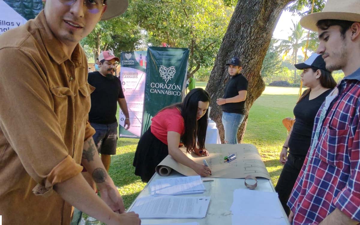 Morelos: Firman Plan Tetecala para legalizar la siembra, cultivo y explotación de marihuana 
