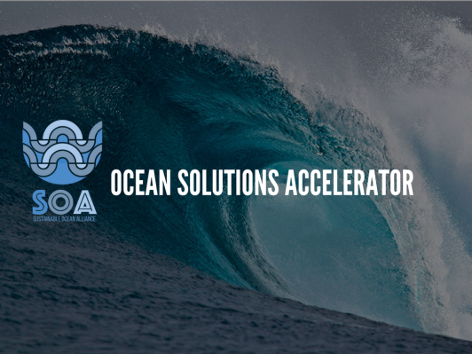 Ocean Solutions Accelerator nombra su primera ola de startups de conservación
