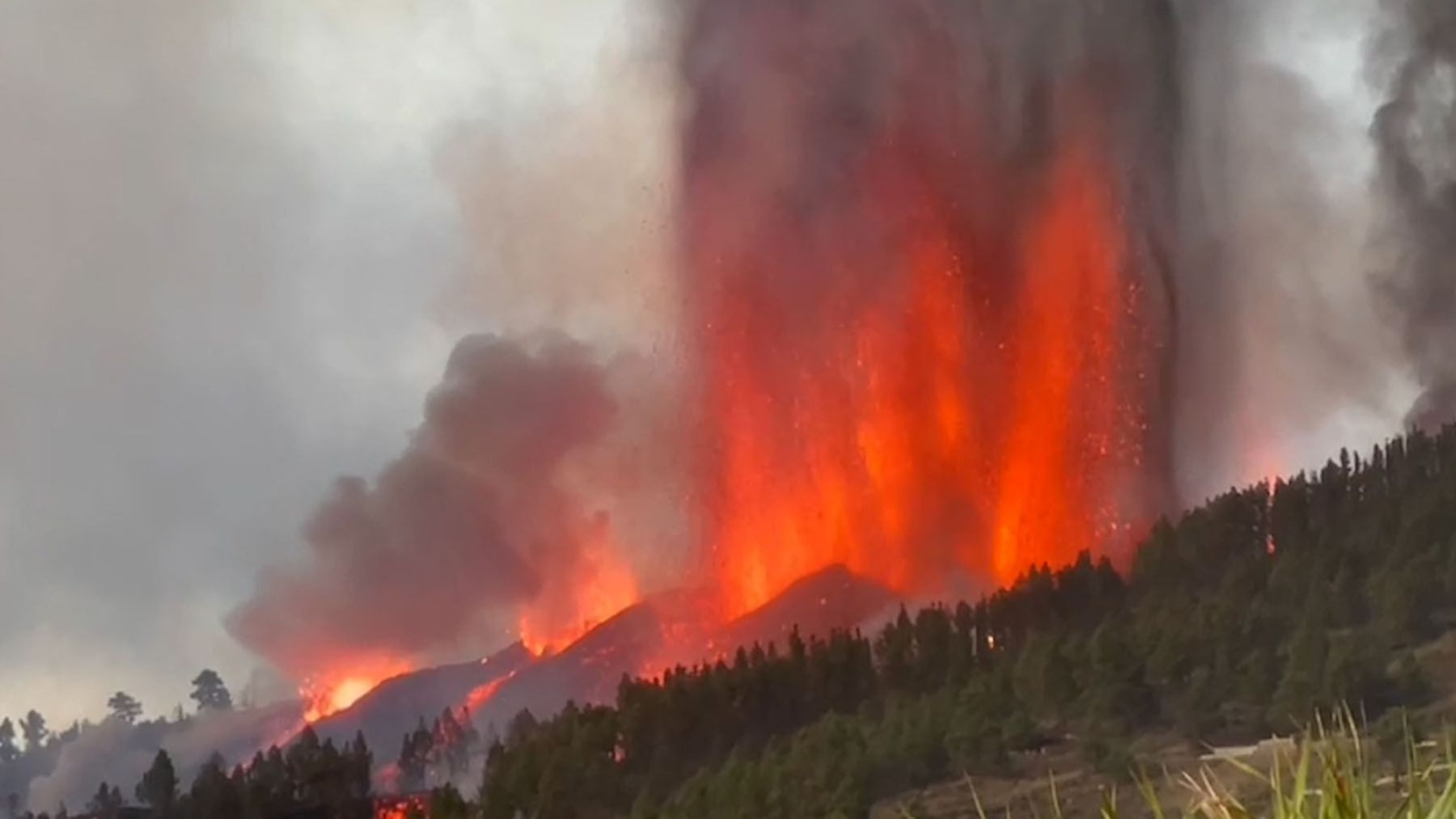 Por qué no hay incendios forestales en La Palma a pesar de la gran cantidad de lava y fuego