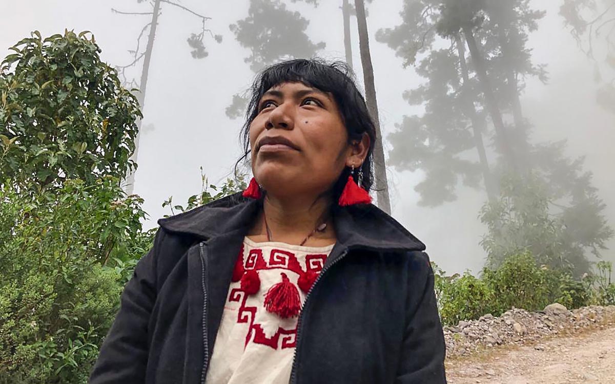 Red de Defensoras denuncia omisión de autoridades federales y de CDMX en búsqueda de ambientalista Irma Galindo