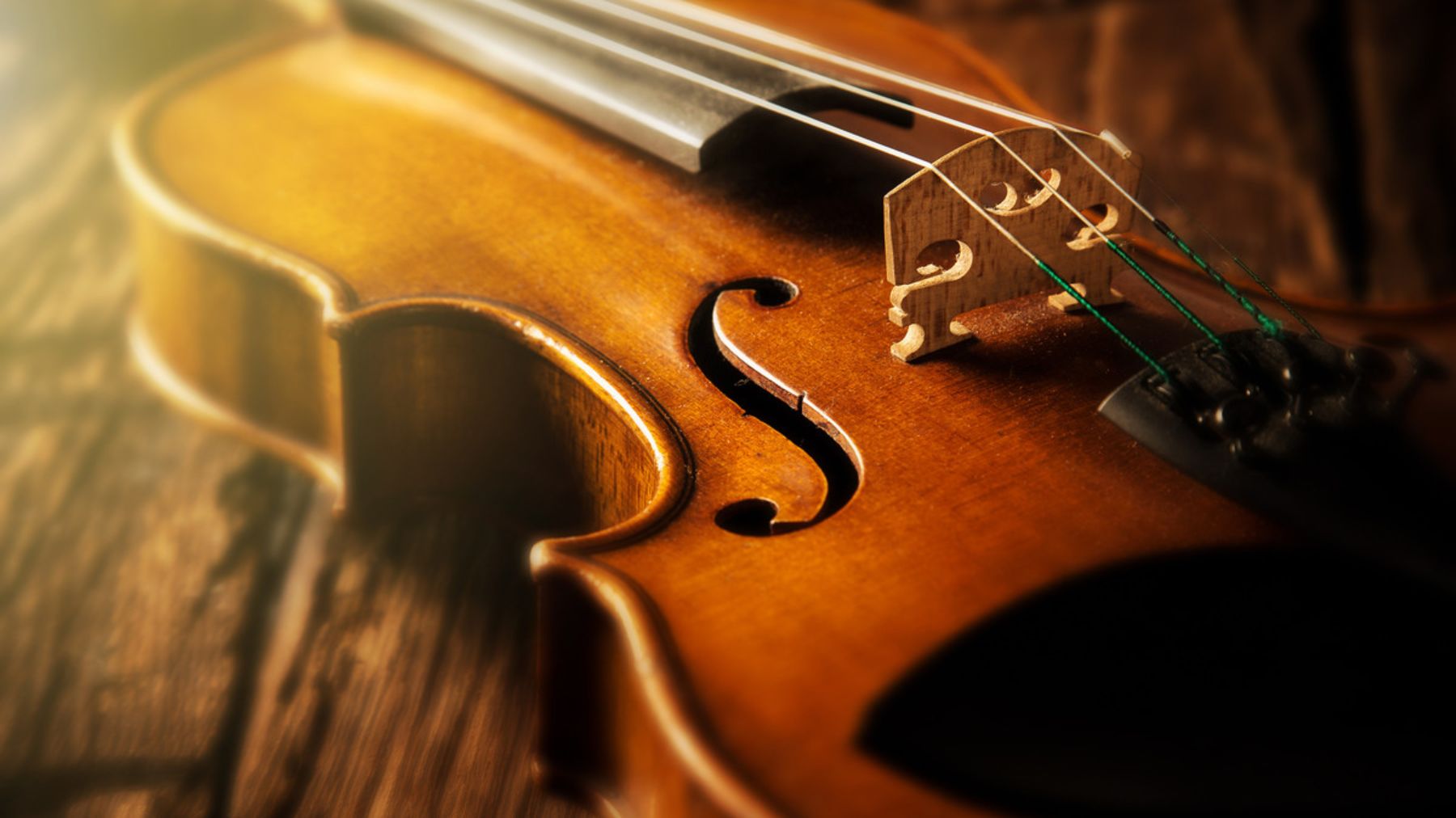 Revelan el secreto del sonido de los violines Stradivarius