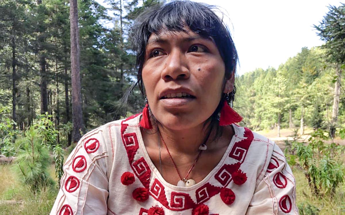 Sin pistas de la activista Irma Galindo, a casi un mes de su desaparición