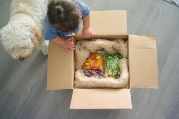 Thistle lanza kits de comida para preparar alimentos nutritivos para bebés en casa