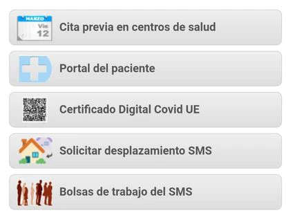Captura de imagen de la página de Murcia Salud donde descargarse el certificado covid