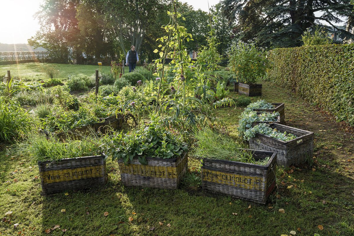 La gastronomía vegetal triunfa en el plato