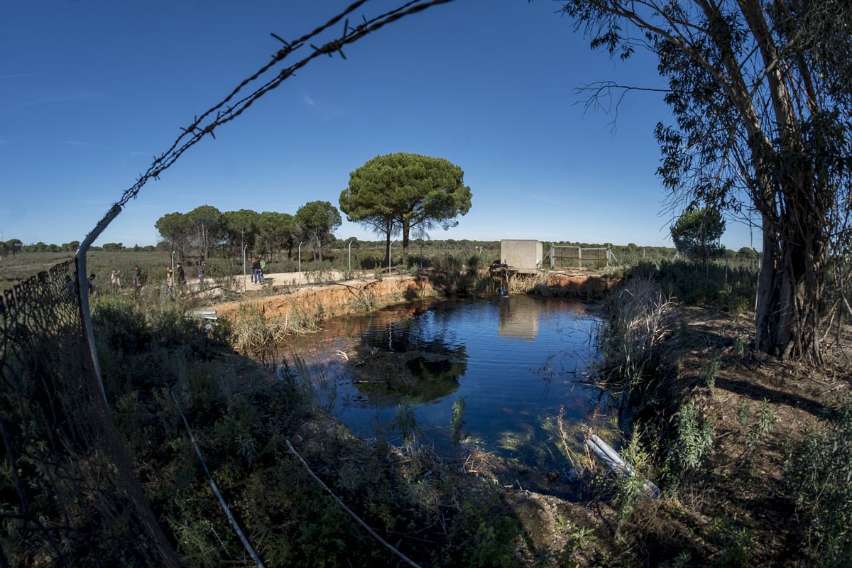 Absueltos dos exalcaldes de Almonte y 13 agricultores acusados de extracción ilegal de aguas en Doñana