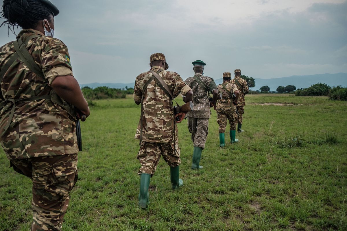 Un día con los guardabosques en Uganda: una lucha contrarreloj para proteger la vida salvaje