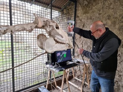 Estudio con escáner láser del esqueleto del caballo de Maiuri en el parque arqueológico de Pompeya