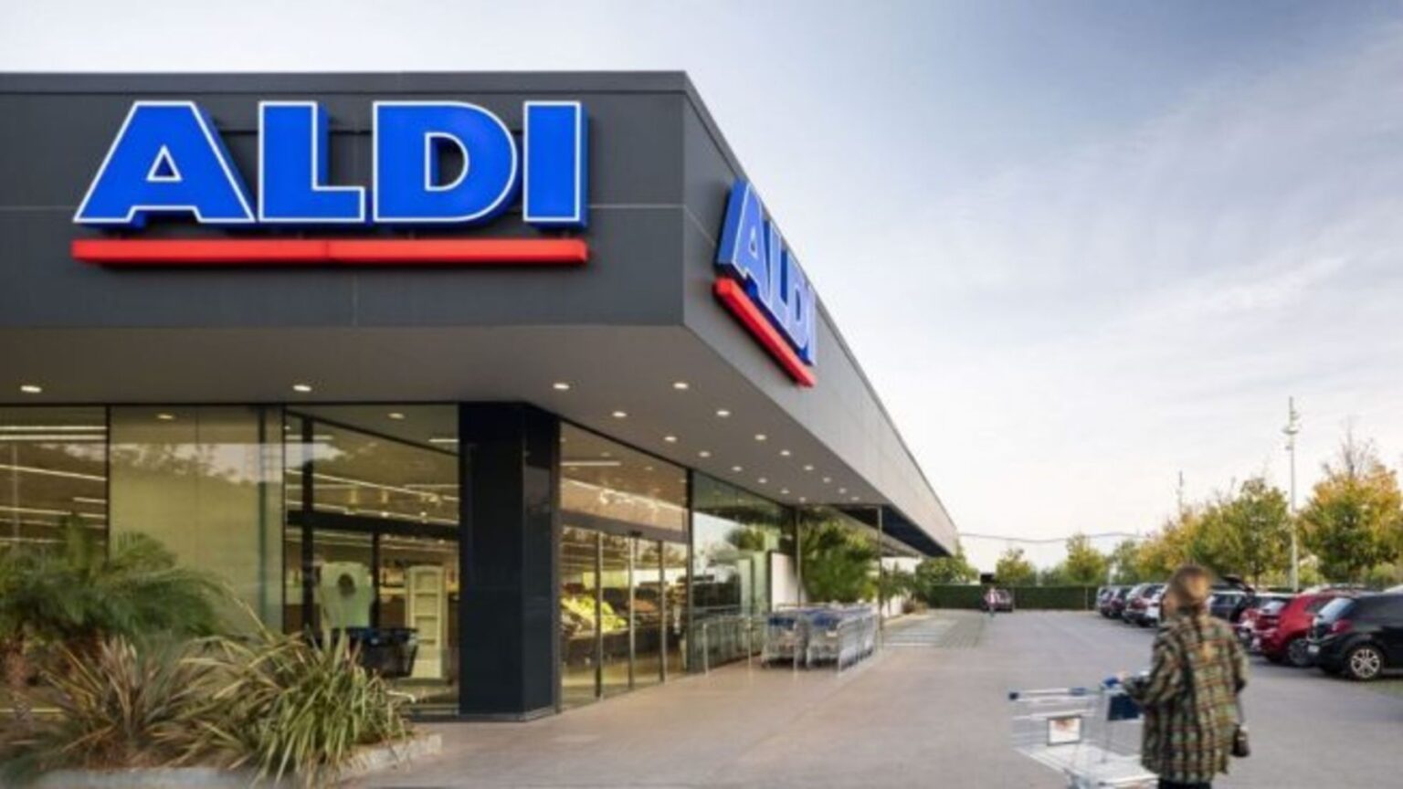 Aldi y sus ventiladores sin aspas que arrasan en ventas La Neta Neta