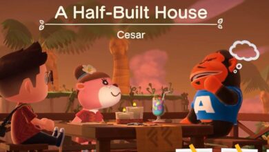 Animal Crossing: las solicitudes de diseño de aldeanos más extraños de Happy Home Paradise