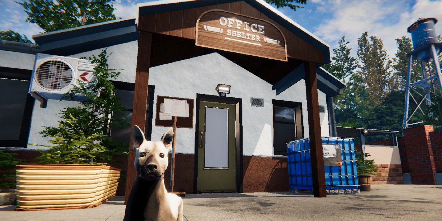 Animal Shelter Simulator donará a refugios reales elegidos por los jugadores