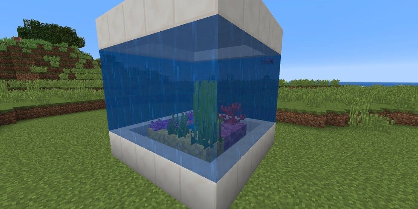 La construcción del jugador de Minecraft convierte a los espectadores en un pez dentro de una pecera